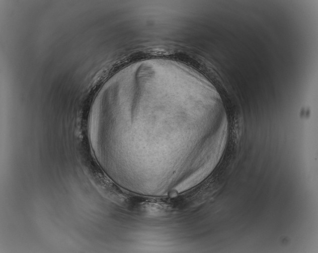 X0000114530512200911091114