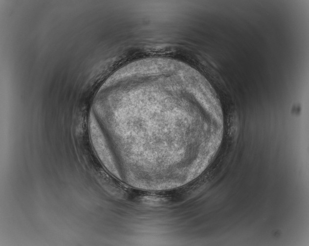 X0000114530515200911091113