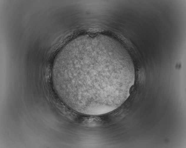X0000114530517200911091113