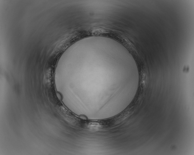 X0000114530519200911091113