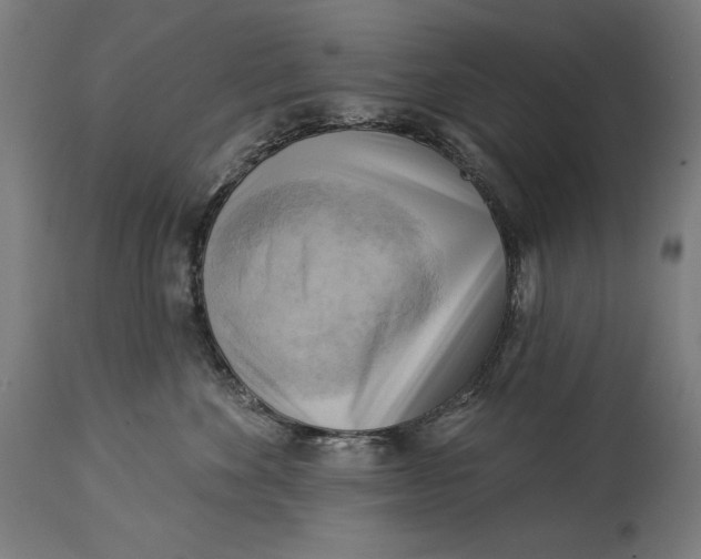 X0000114530524200911091113