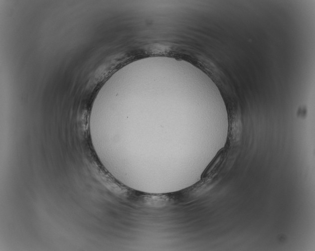 X0000114530525200911091113