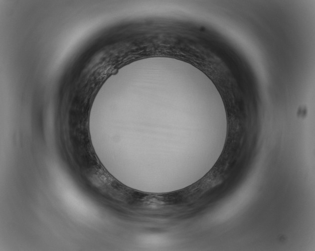 X0000114530526200911091113