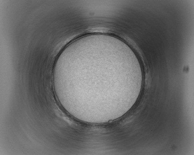 X0000114530529200911091113