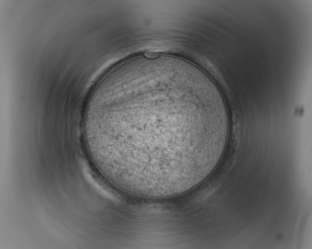 X0000114530530200911091113