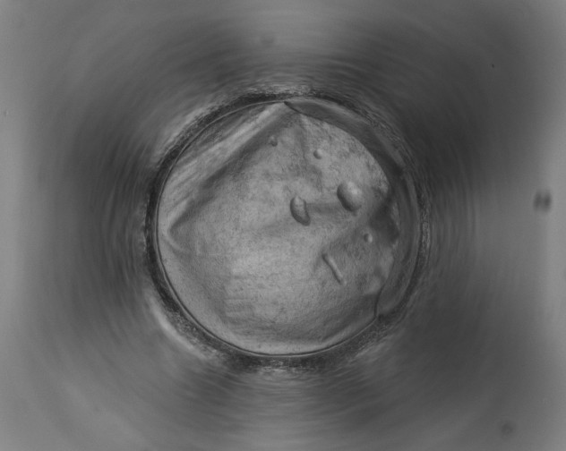 X0000114530538200911091113