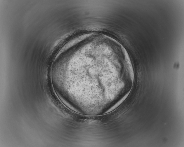 X0000114530539200911091113