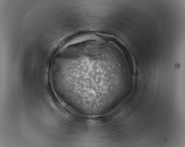 X0000114530542200911091113