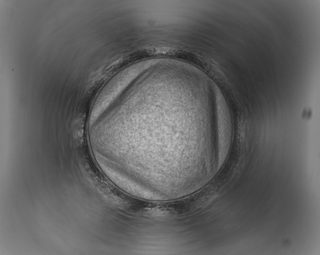 X0000114530545200911091113