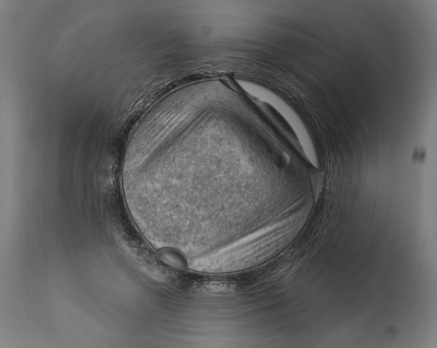 X0000114530546200911091113