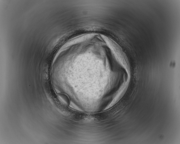 X0000114530547200911091113