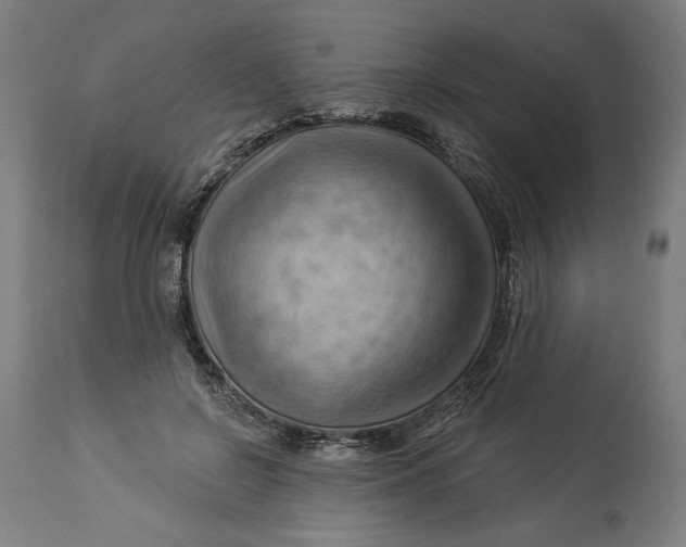 X0000114530550200911091113