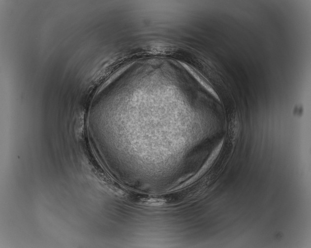 X0000114530554200911091113