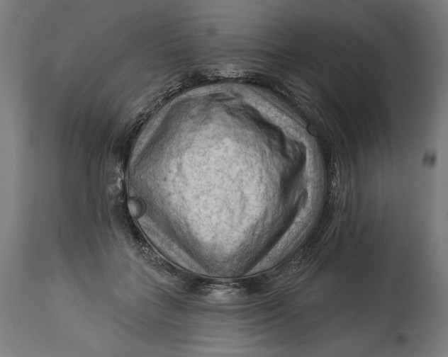 X0000114530555200911091113
