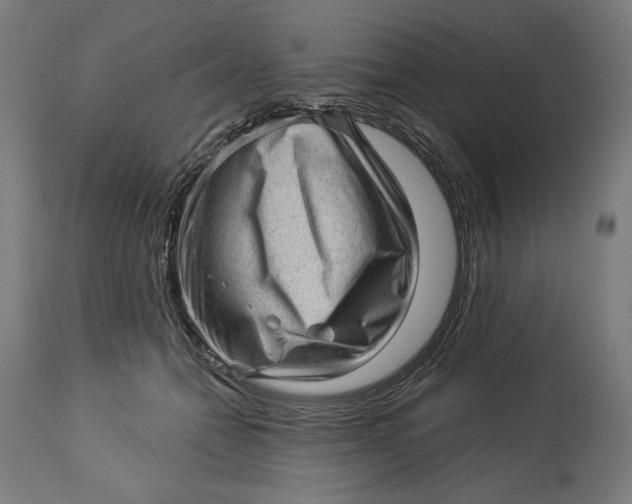 X0000114530558200911091113