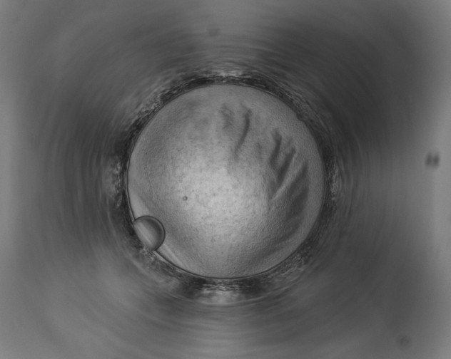 X0000114530559200911091113