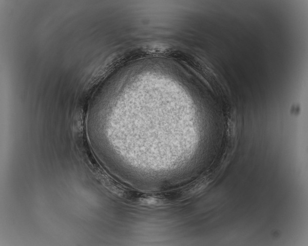 X0000114530561200911091113