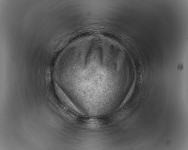 X0000114530562200911091113