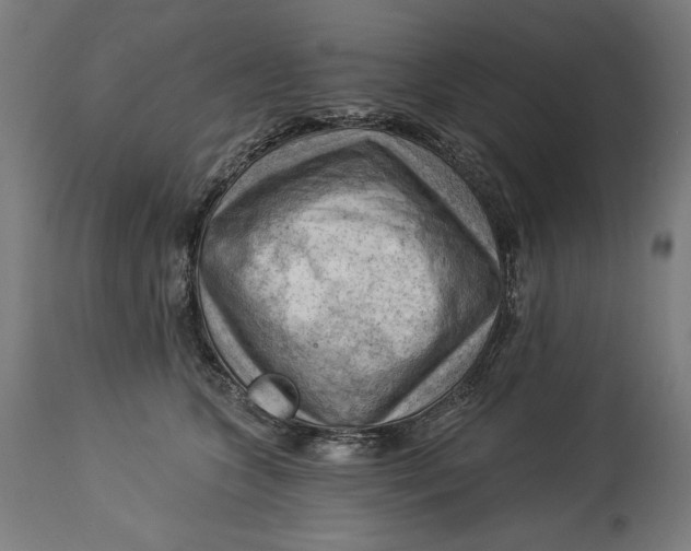 X0000114530563200911091113