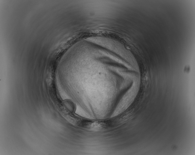 X0000114530566200911091113