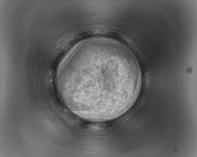 X0000114530567200911091113