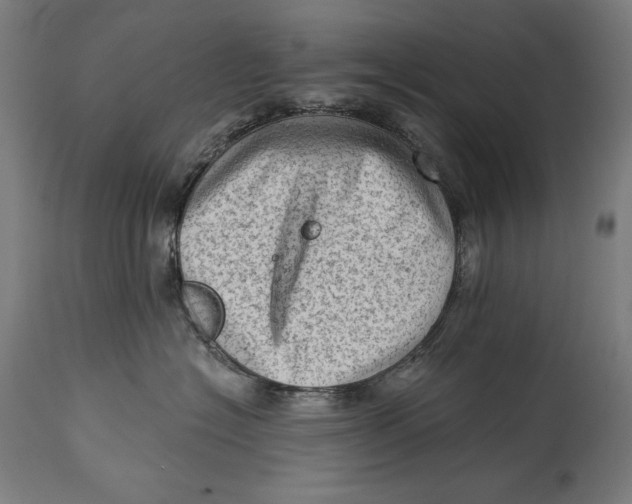 X0000114530574200911091113