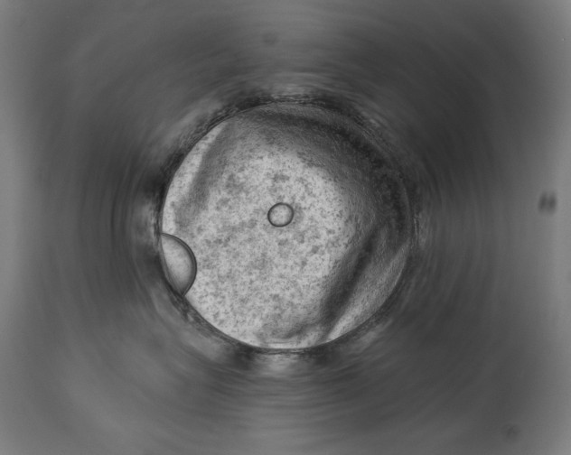 X0000114530575200911091113