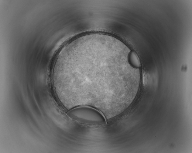 X0000114530579200911091113