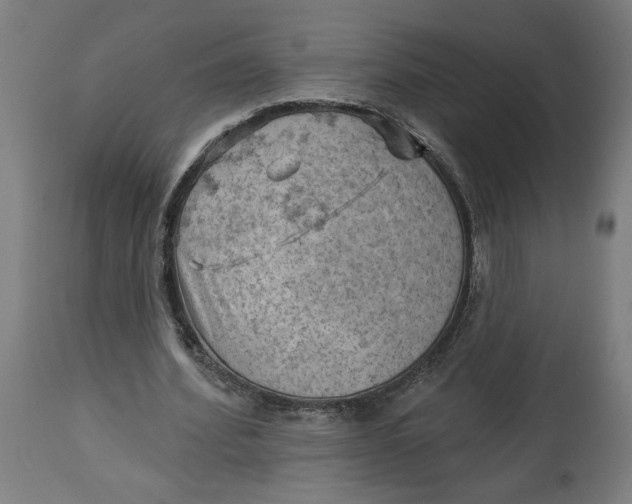 X0000114530580200911091113