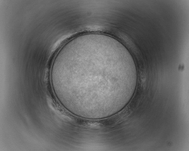 X0000114530583200911091113