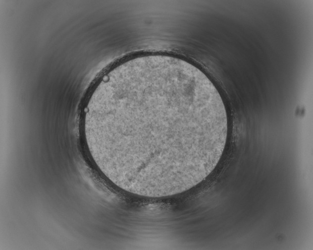 X0000114530584200911091113