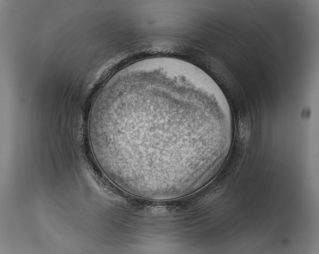 X0000114530588200911091112
