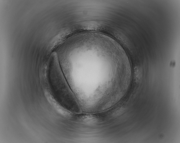 X0000114530589200911091112