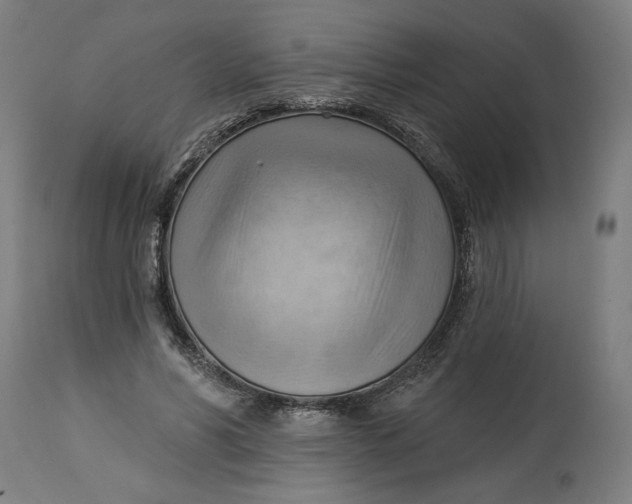 X0000114530590200911091112