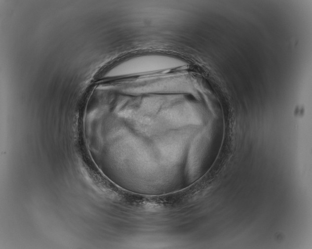 X0000114530592200911091112