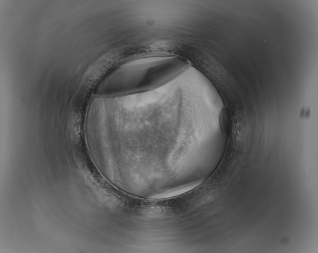 X0000114530593200911091112