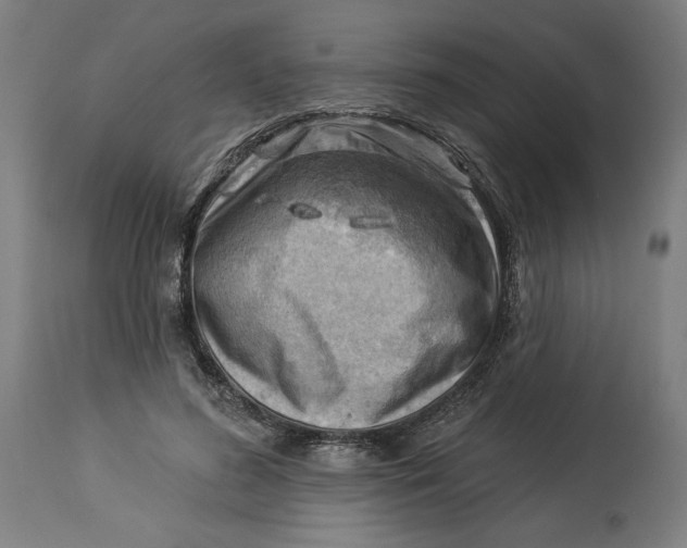 X0000114530596200911091112