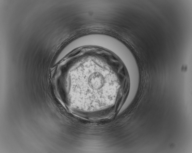 X0000114530597200911091112
