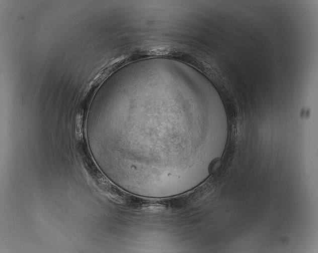 X0000114530598200911091112