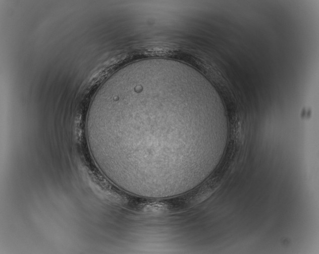 X0000114530599200911091112