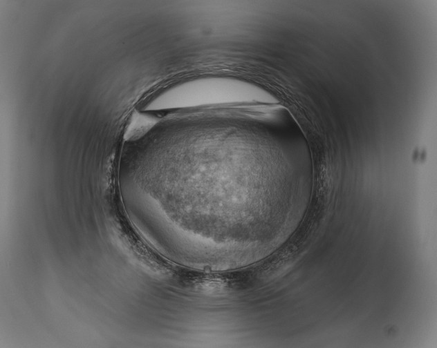 X0000114530600200911091112