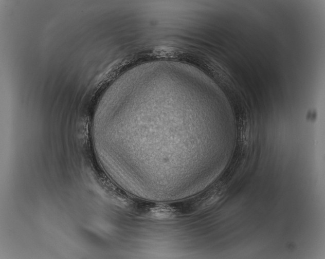 X0000114530603200911091112
