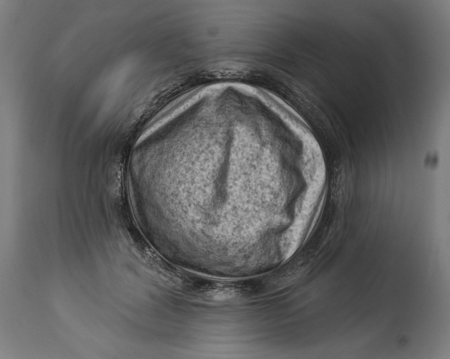 X0000114530604200911091112