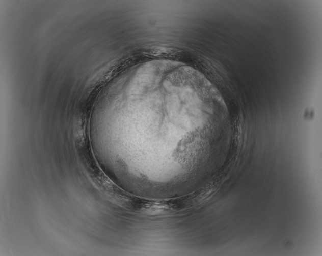 X0000114530607200911091112