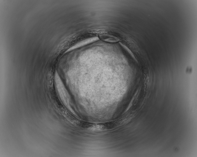 X0000114530609200911091112