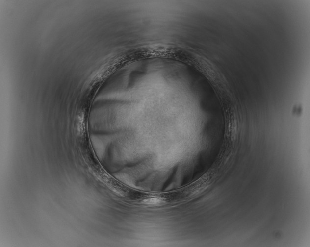 X0000114530610200911091112