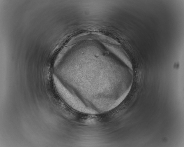 X0000114530612200911091112