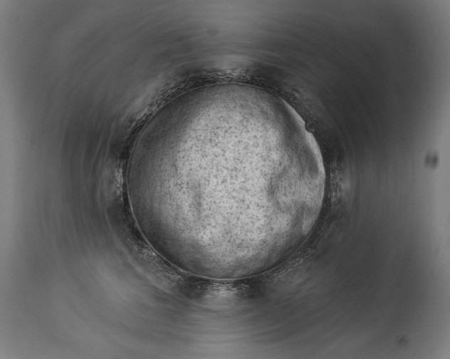 X0000114530613200911091112
