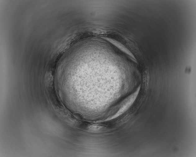 X0000114530614200911091112