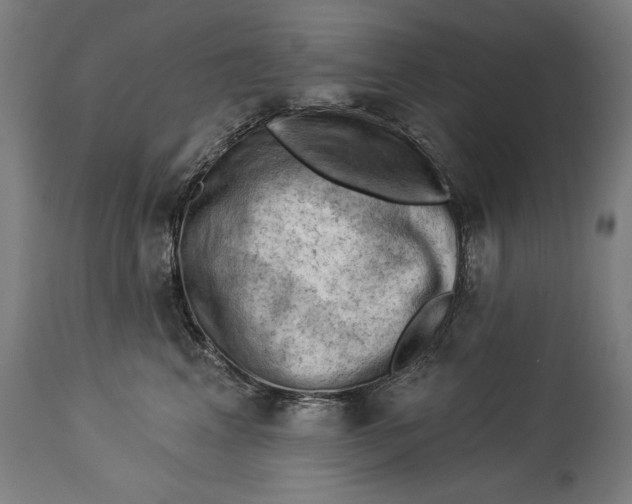 X0000114530617200911091112